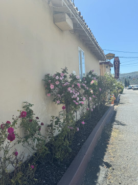 Welcome To Tamalpais Motel - Exterior View