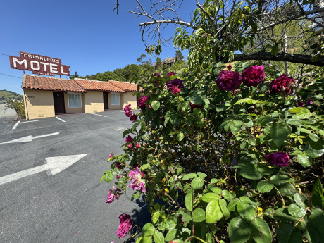 Welcome To Tamalpais Motel - Exterior View